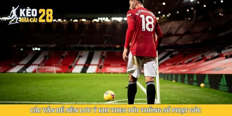 Các vấn đề nên lưu ý khi theo dõi thông số phạt góc