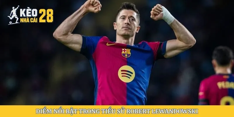 Điểm nổi bật trong tiểu sử Robert Lewandowski