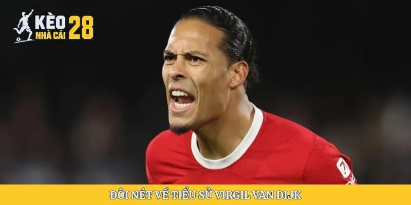 Đôi nét về tiểu sử Virgil van Dijk