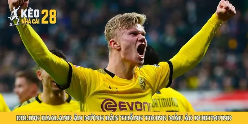 Erling Haaland ăn mừng bàn thắng trong màu áo Borussia Dortmund