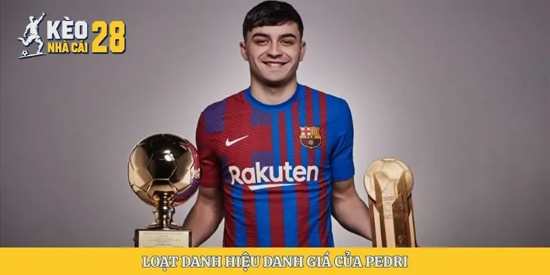Loạt danh hiệu danh giá của Pedri