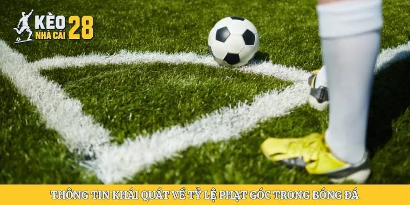 Thông tin khái quát về tỷ lệ phạt góc trong bóng đá