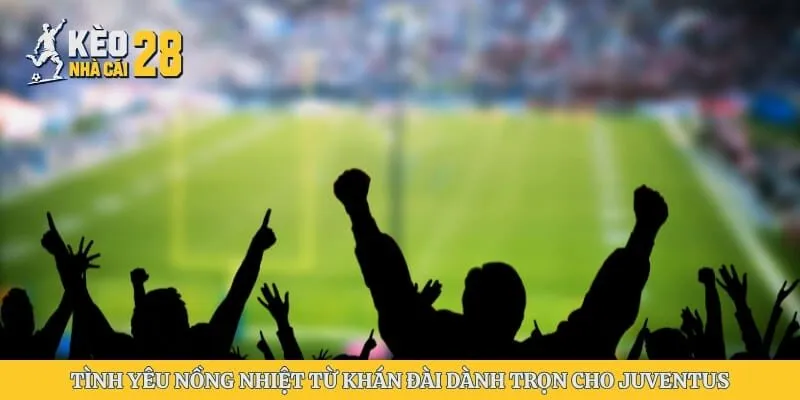 Tình yêu nồng nhiệt từ khán đài dành trọn cho Juventus